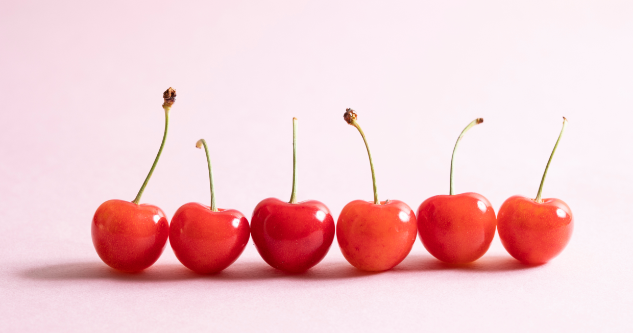 e菓子製作所とは