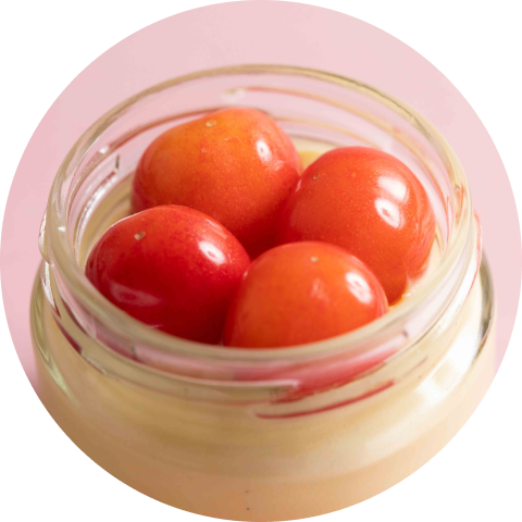 サクランボプリン