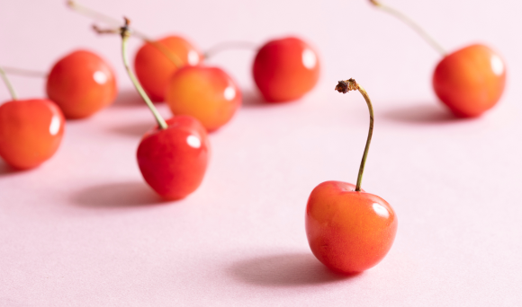 e菓子製作所からのお便り